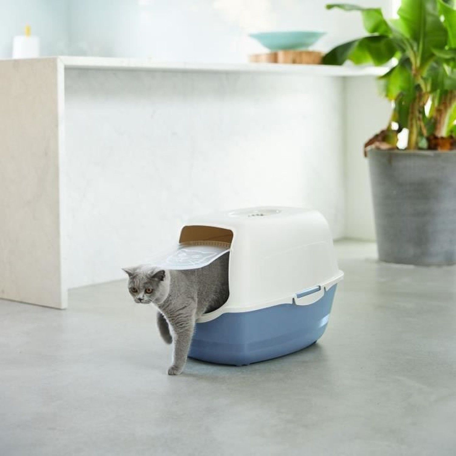 Caixa de Areia para Gatos Rotho My Pet BAILEY Branco/Azul - 4