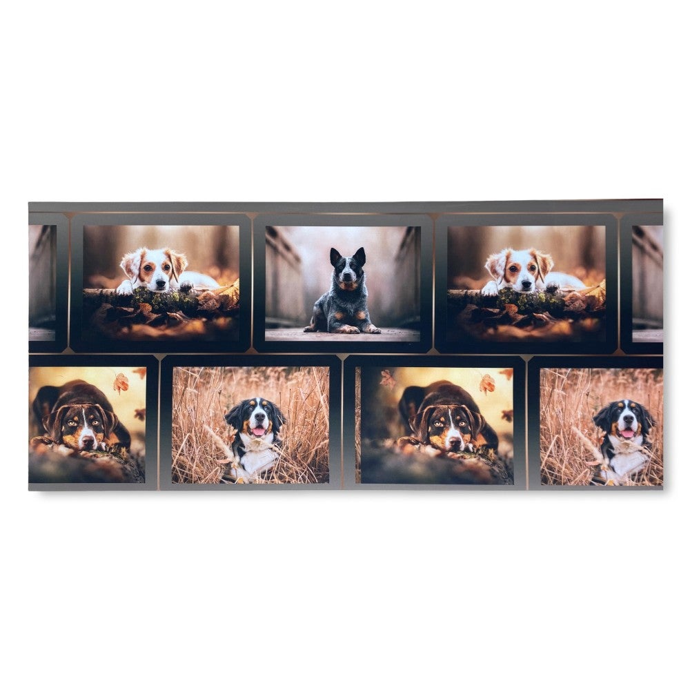 CARPET Runner Cuisine Runner Anti-dérapant DOG Chiens Made in Italy Cm ...