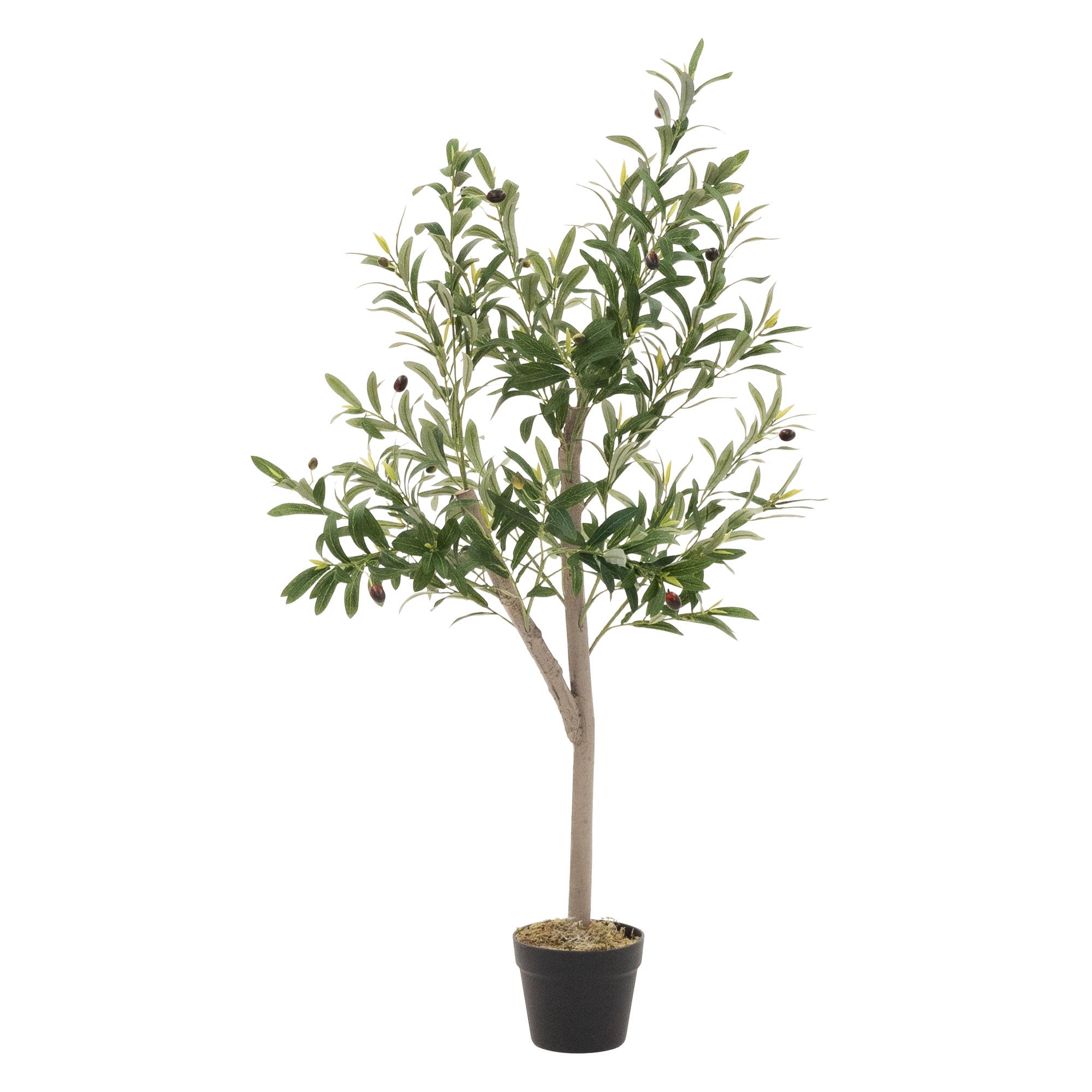 Olivier Artificiel Décoratif 150 Cm - Détails Réalistes (tronc, Olives), Branches Réglables | Sans Entretien, Vert Et Marron | Pour Salon, Bureau, Décoration Intérieure