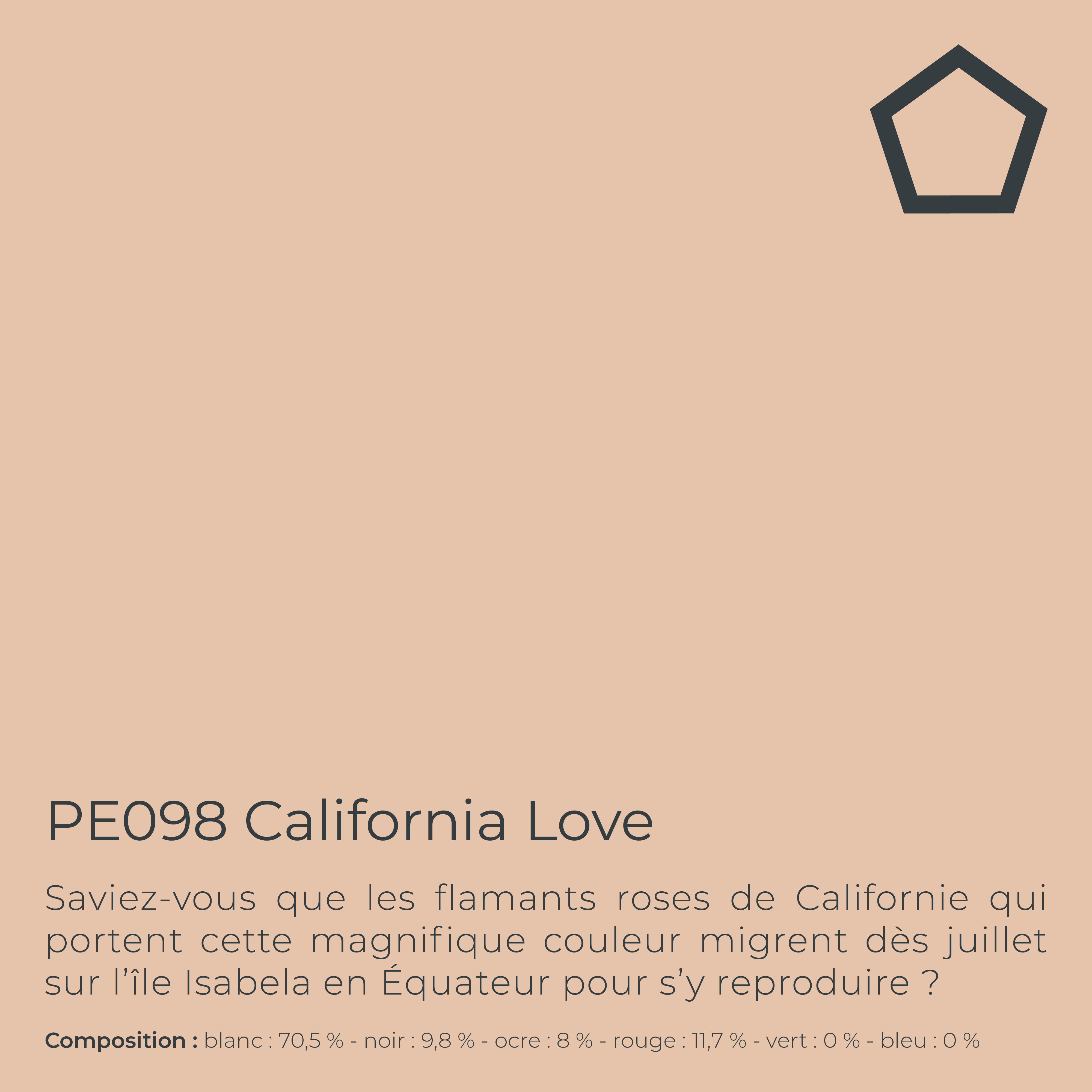 Peinture de finition très lessivable pour murs intérieurs - Finish Aqua Semi-Matt, 1 l, California Love - PEINTAGONE - 3