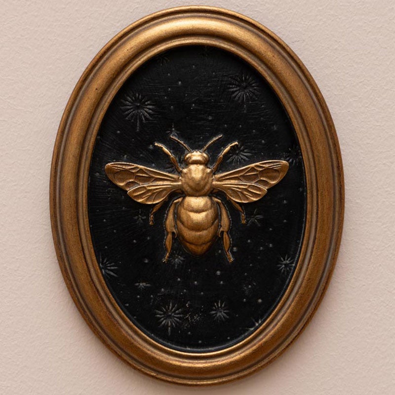 Ensemble 4 cadres insectes Entomologie 13x17cm - 4