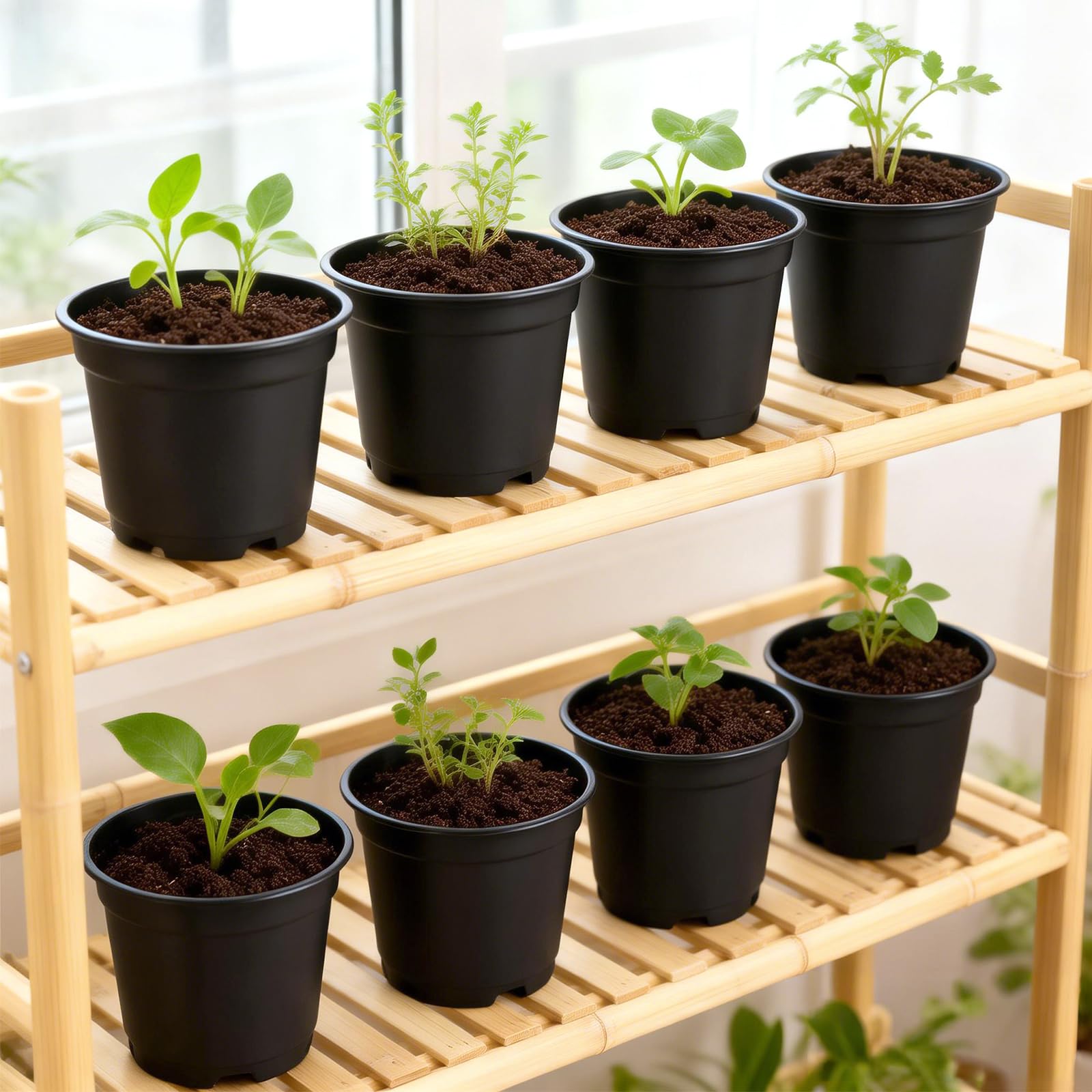 100Pièces 15CM Pot pour Semis,Pot de Fleurs Plastique Plante Exterieur,Pot Rempotage,Godets pour Semis Tomates,Noir - 5