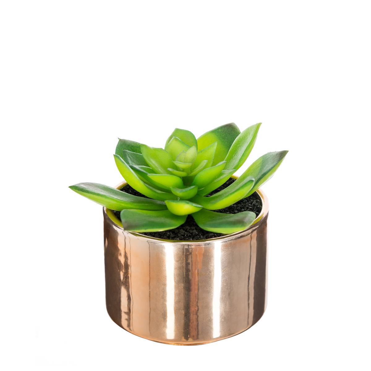 Plante Verte Pot Céramique H.15 Multicolore - Atmosphera Créateur d'intérieur - 2