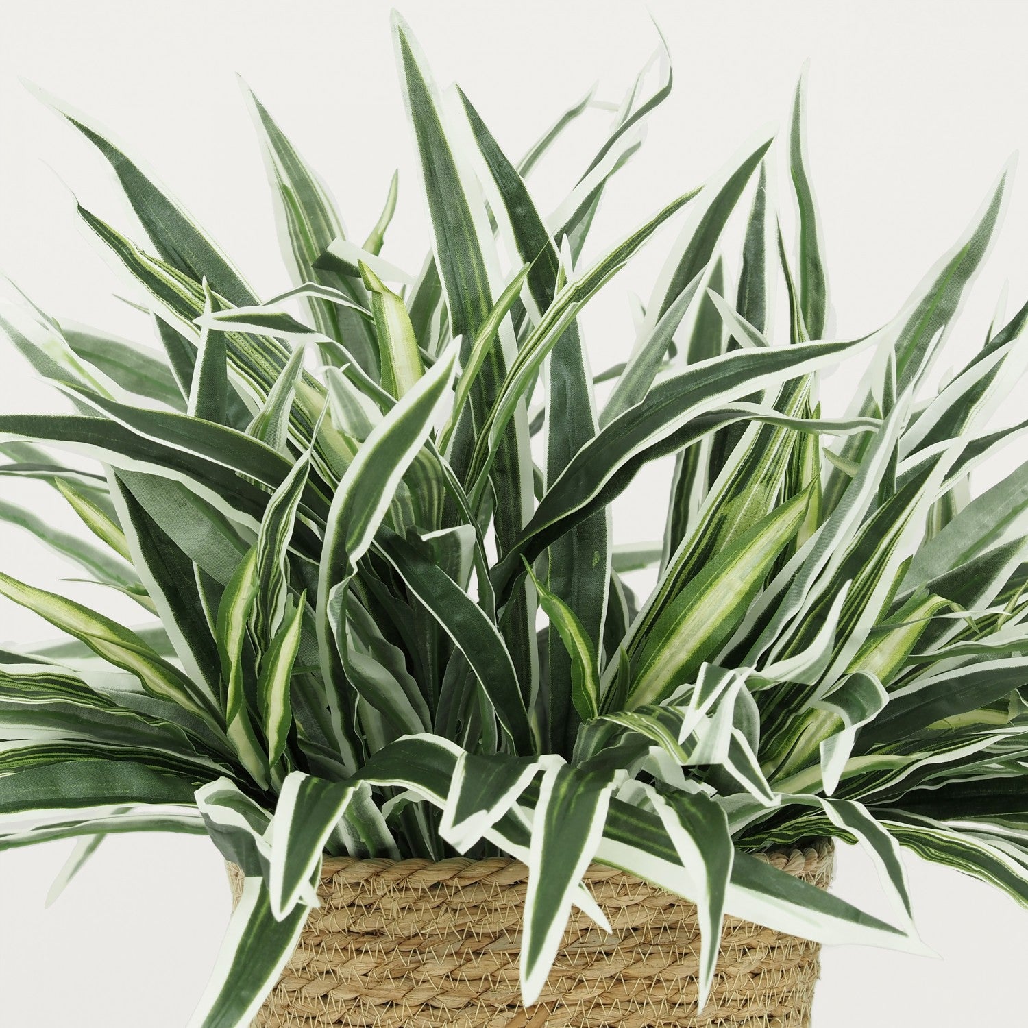 Chlorophytum artificiel en bouquet 42cm - 3