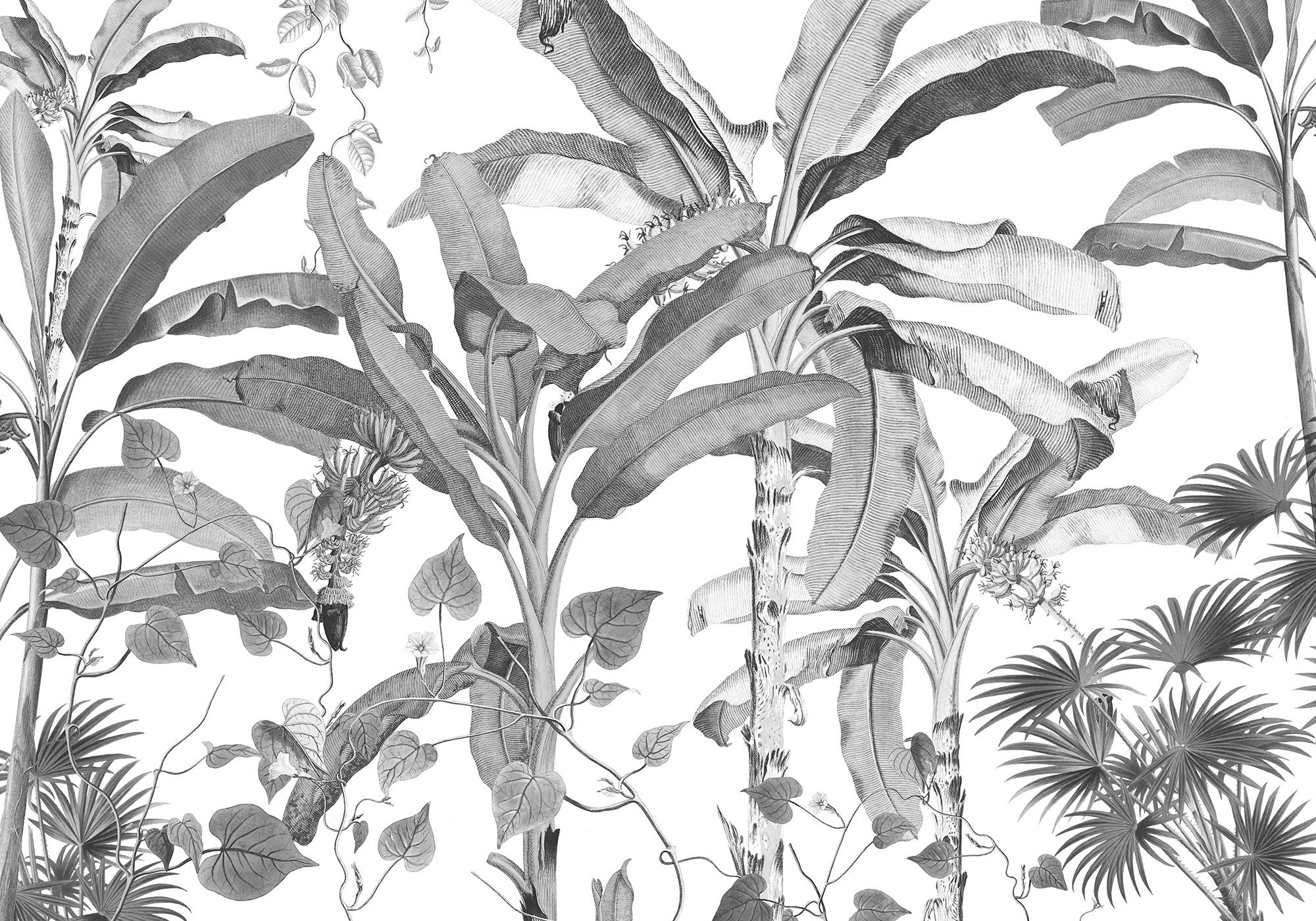 Fotomurale in tessuto non tessuto di Komar - Croissances Monochrome - Dimensione: 400 x 280 cm - 2
