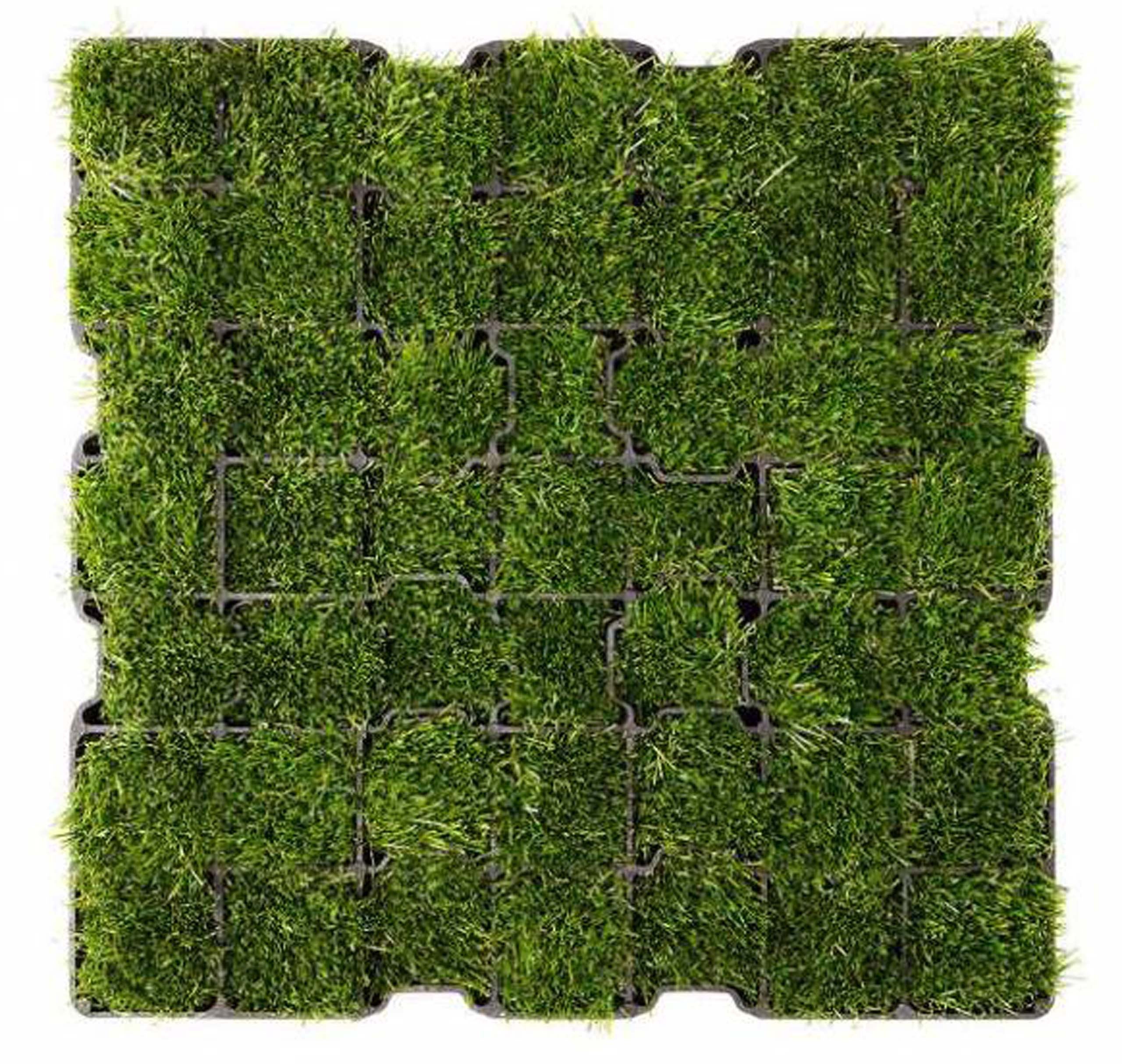 Stabilisateur de gravier 50 x 50 x 5 cm – parking et aire de stationnement - 3