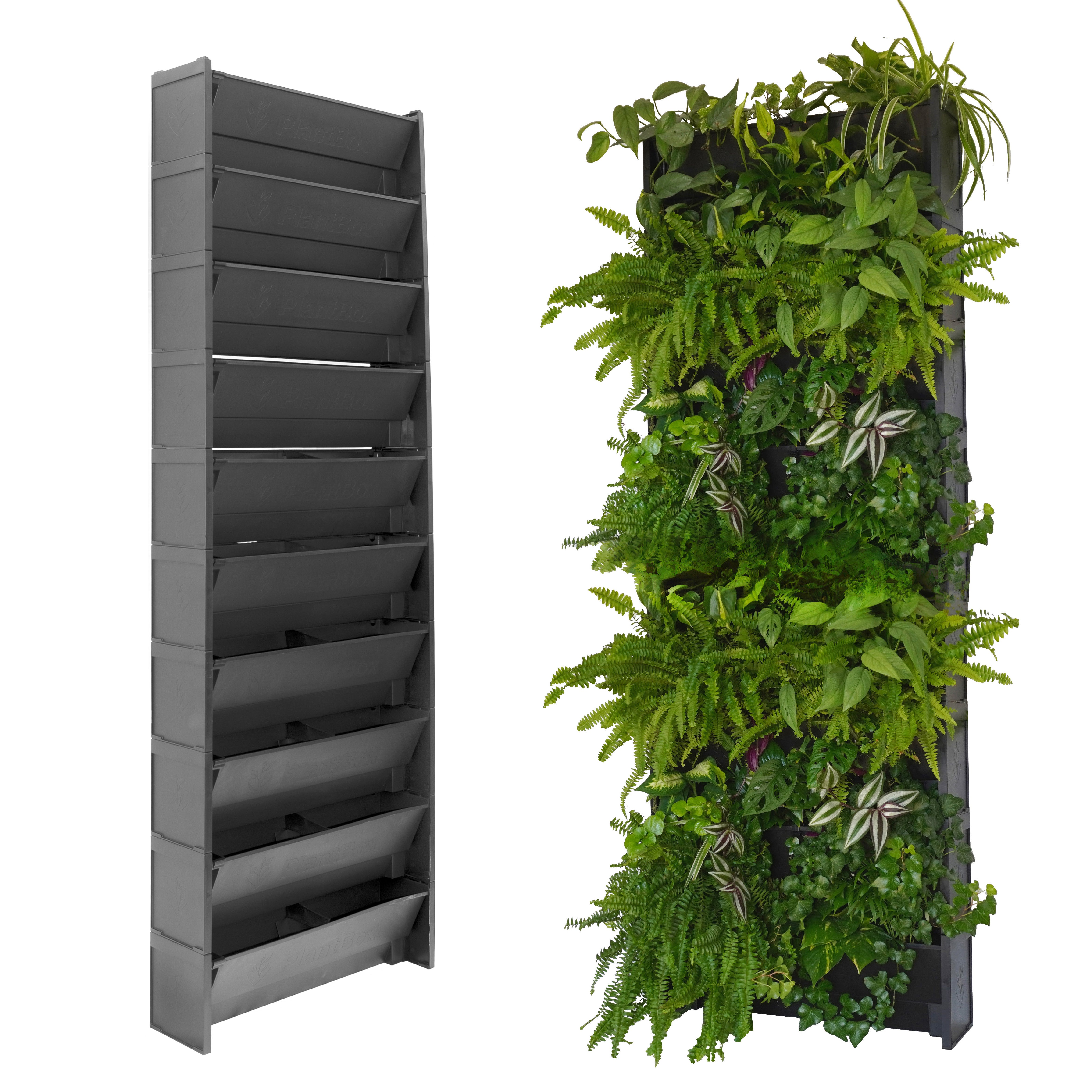 Mur Végétal EVERTIA, Kit de 10 Pots pour Mur Végétal Naturel, Potager — free download