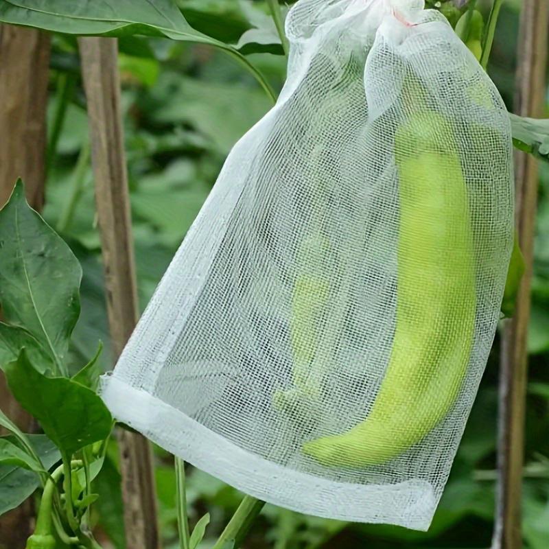 50pcs, sacs anti-insectes pour fruits et légumes, sacs anti-mouche des ...