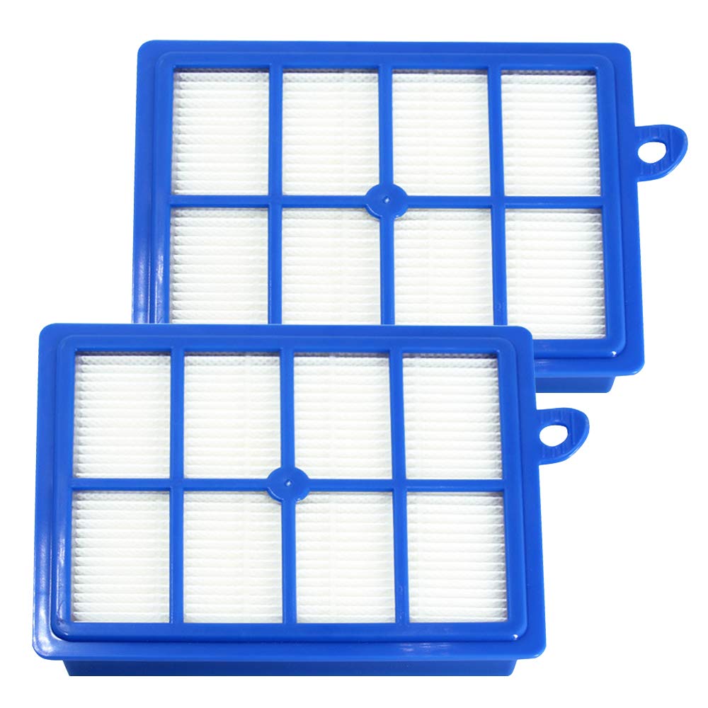 Zestaw 2 Filtrów Hepa Zamiennych do Odkurzaczy Electrolux PHILIPS