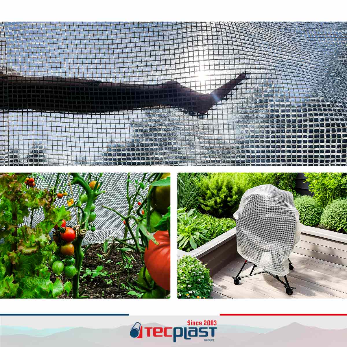 Bâche Jardin 4x6 m - TECPLAST - TR170JD - Bâche Armée Transparente - Haute Qualité - Imperméable - Résistance Anti-UV - 2