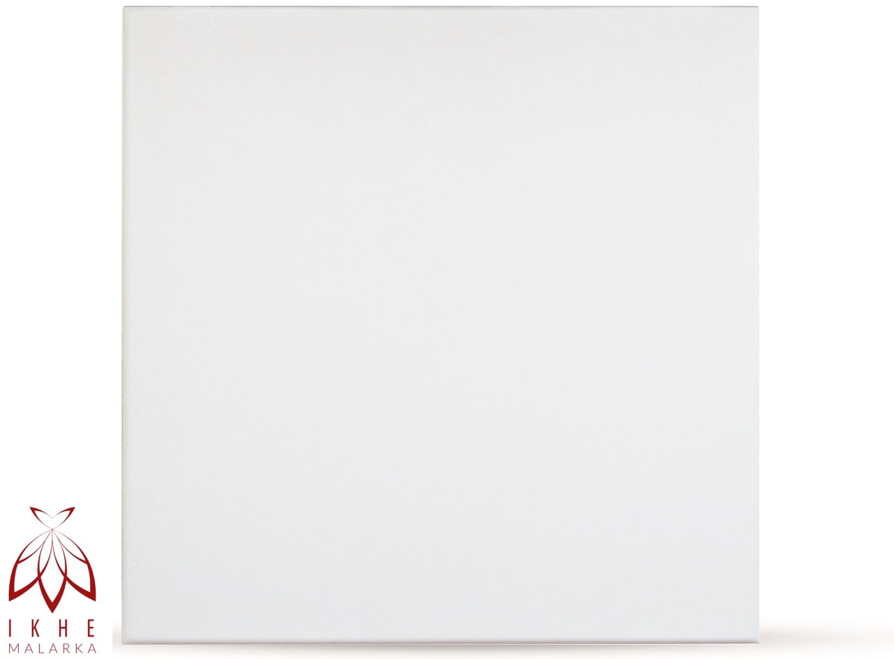 (20 m² = 80 pièces) / panneaux muraux revêtement mural panneaux de plafond plaques panneaux UNI blanc MATÉRIAU POLYSTYRÈNE 2 mm d'épaisseur - 2