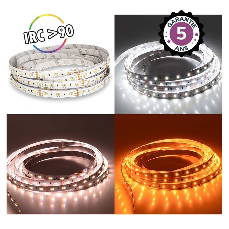 Dimmable LED DIEVE - 5M - CCT 2000-6500K - 120LED / M - 24V - IP20 ...