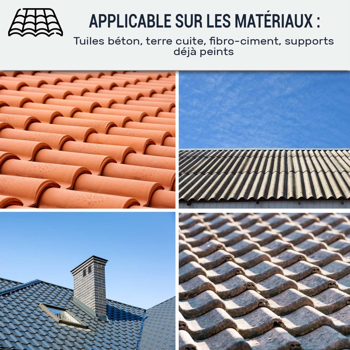 Peinture Toiture pour tuiles ou toiture en matériau poreux : ARCATOITURE Gris ardoise - RAL 7015 - 10 L - ARCANE INDUSTRIES - 3