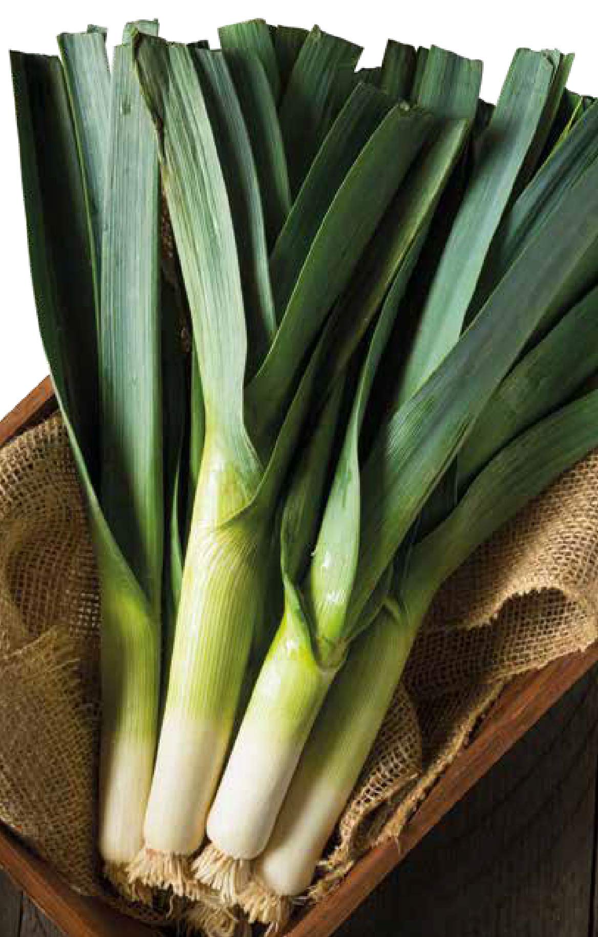 Semi Di Porro Germisem Electra, Confezione Da 2 G (circa 700 Semi), Per Orto Domestico