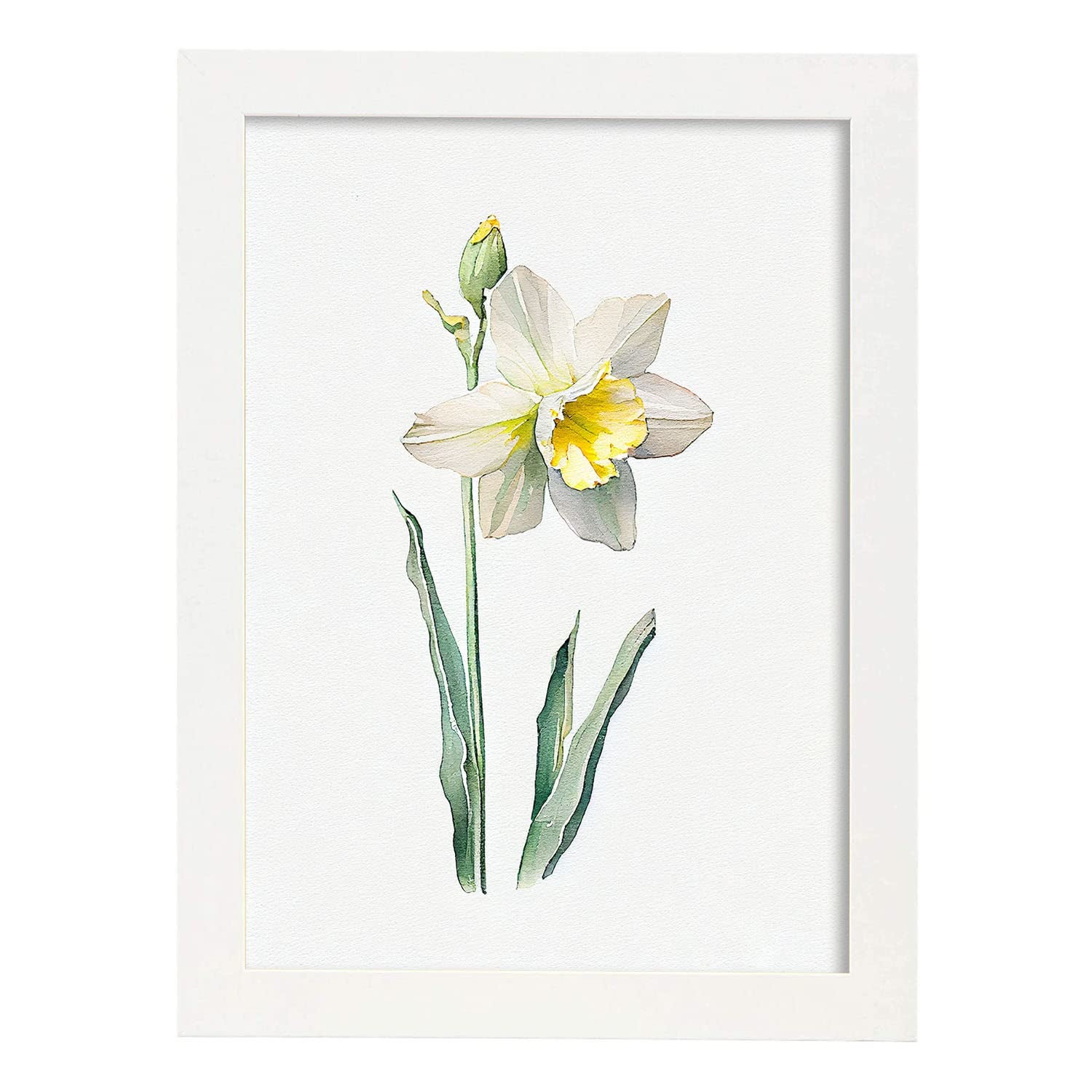 Nacnic poster de narciso estilo nórdico ilustraciones de botánica con flores y plantas en acuarela diseño moderno y a3 con marco blancos