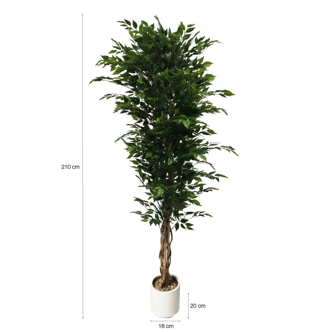 Planta artificial decorativa Ficus de 210 cm en maceta color verde - 5