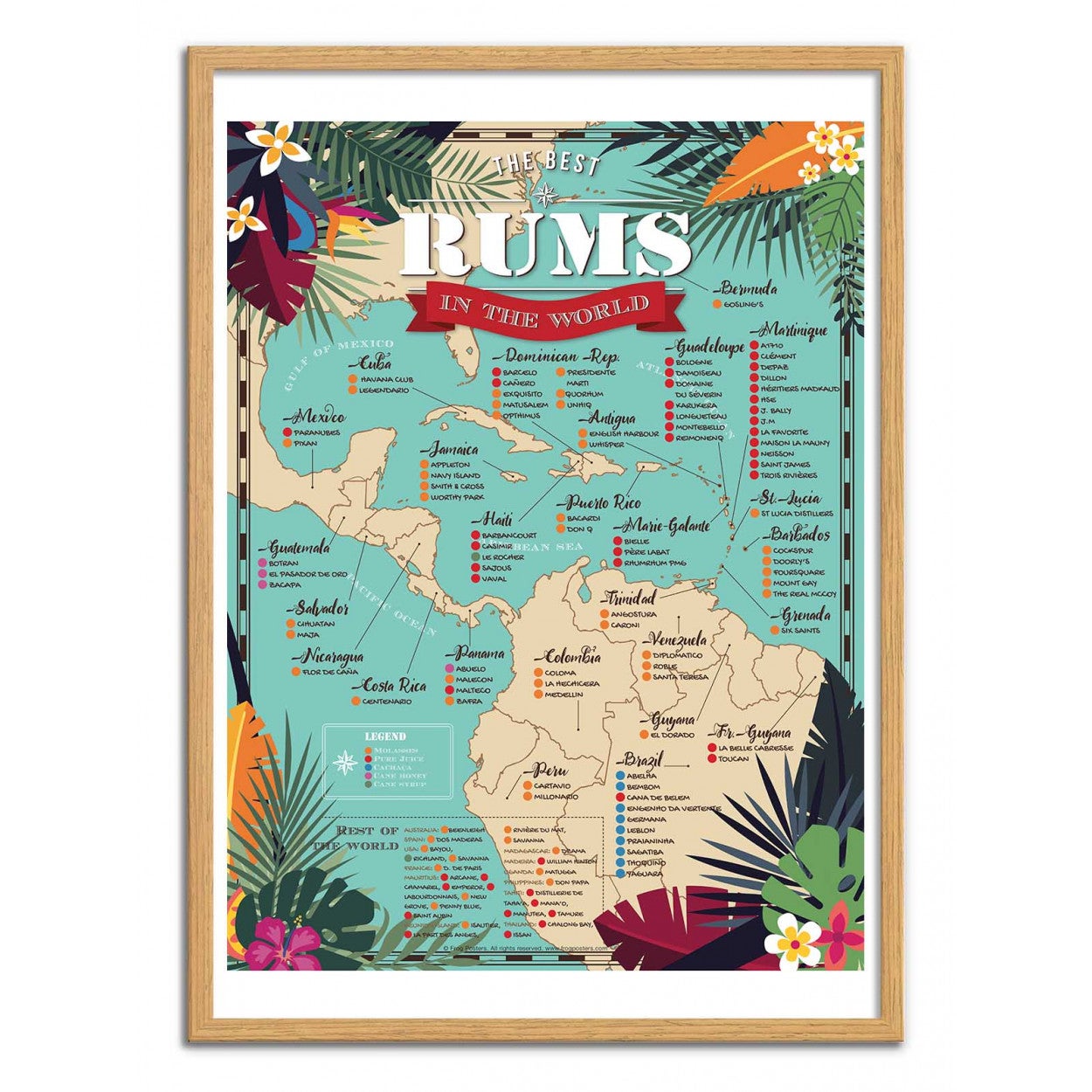 Affiche d’art 50 x 70 cm - Best rums in the world - Frog Posters - 4