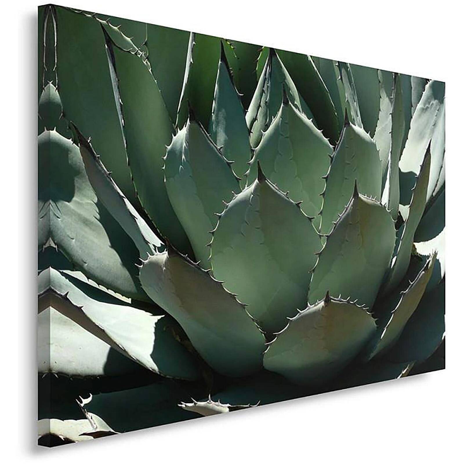 Tableau agawa 3 - 100 x 70 cm - 2