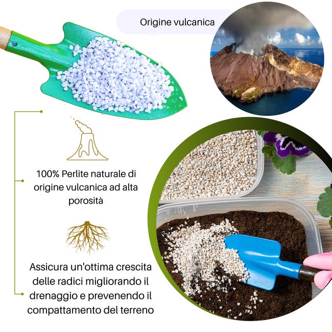 Perlite Purissima Specifica Per Piante 5L ALFE - Foto 7