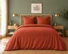 voir le variant Couleur Rouge