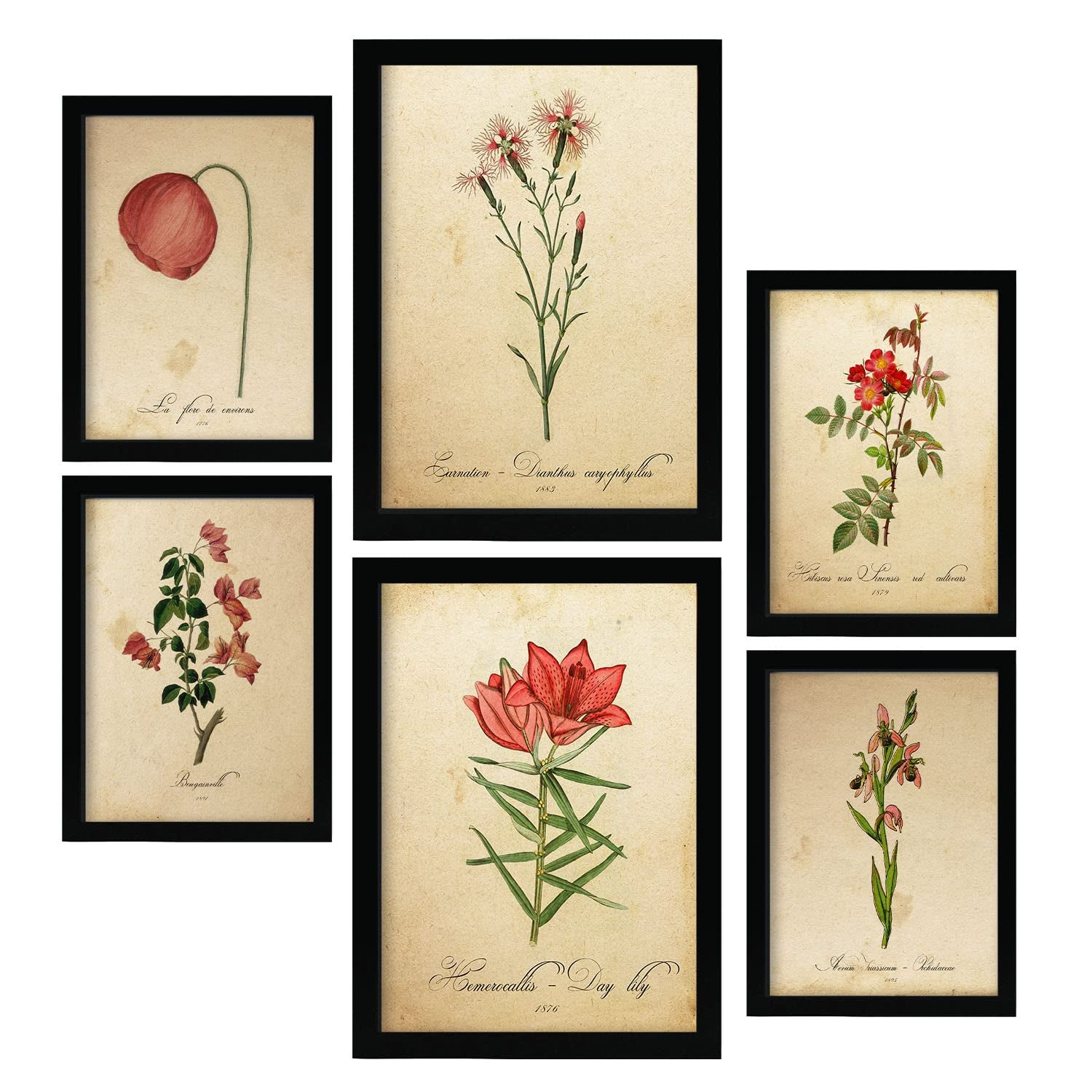 Nacnic posters de flores rojas ilustraciones de naturaleza y botánica estilo papel vintage con temas florales para la a4 & a3 marco negro