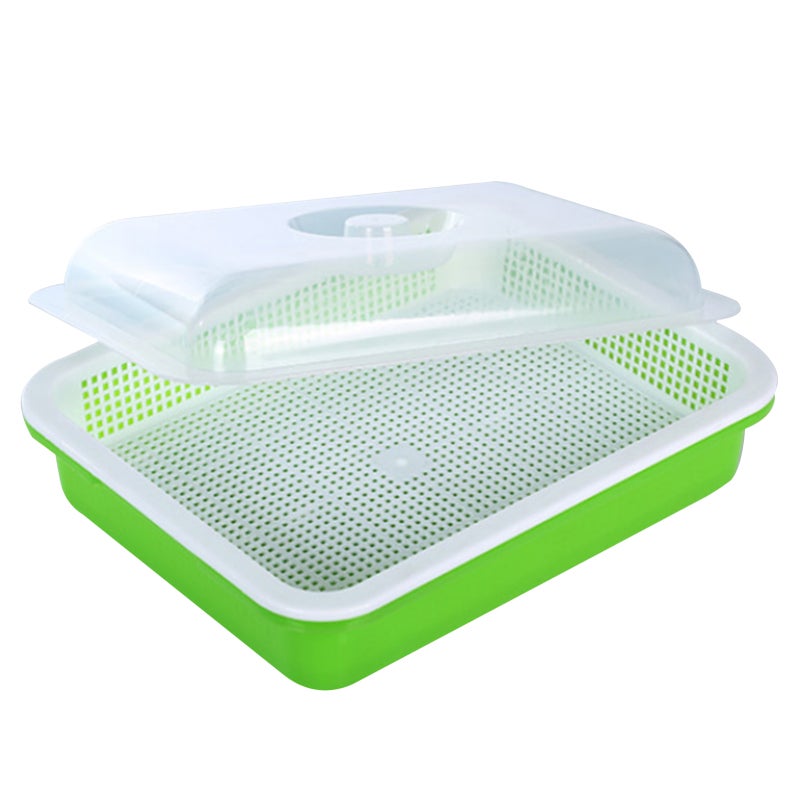 Kit De Culture De Germes 8,5 Pouces 2 Niveaux - Plateaux De Germination En Acier Inoxydable Empilables Pour Micro-Verts Et Haricots
