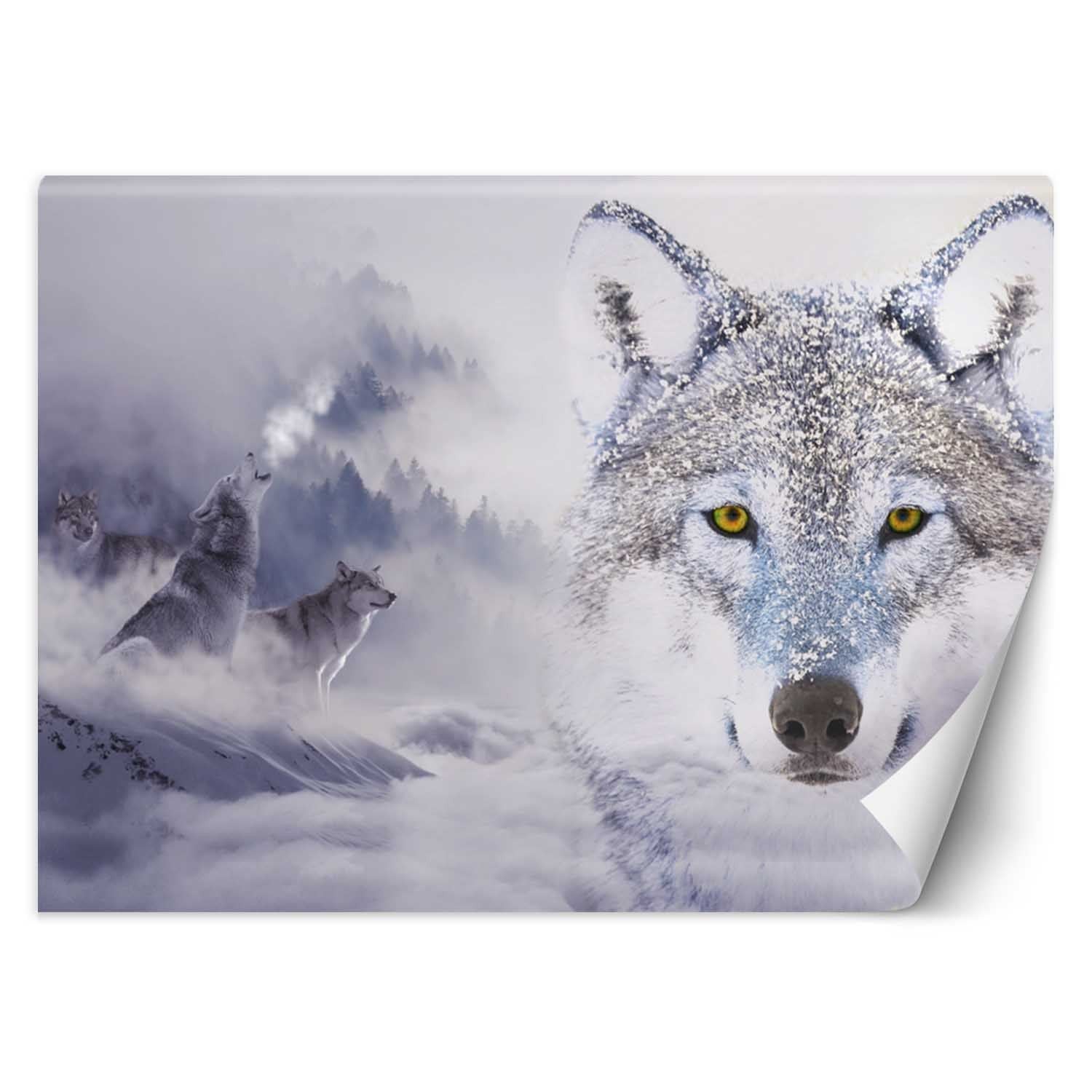 Fototapeta, Wilki zima las we mgle 300x210