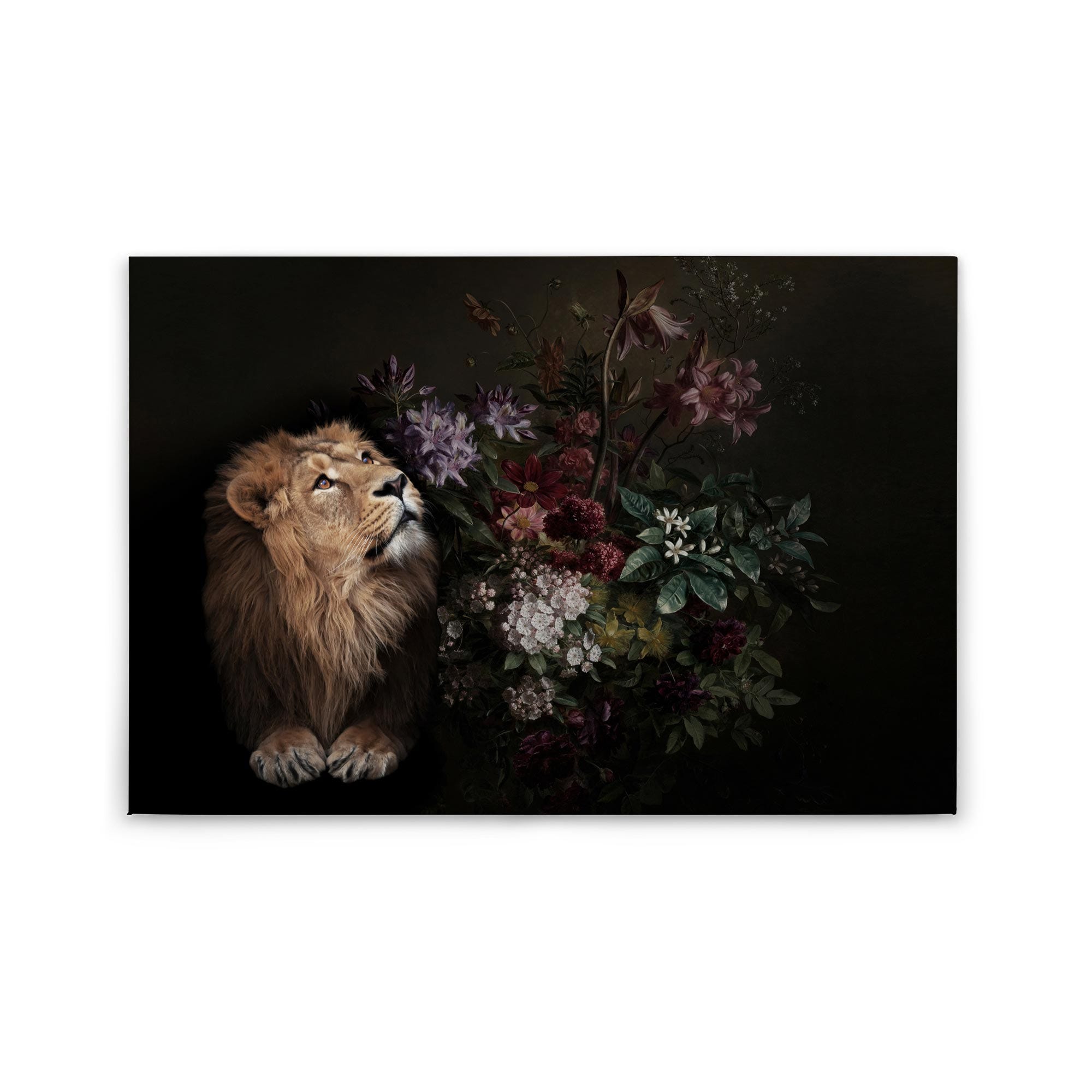 Tableau Murale,Noir Et Blanc Chic Lion Tigre Éléphant Girafe Loup Cheval Mur Art Affiches Et Tableau Murale,Noir Et Blanc Chic Lion Tigre Éléphant Girafe Loup Cheval Mur Art Affiches Et