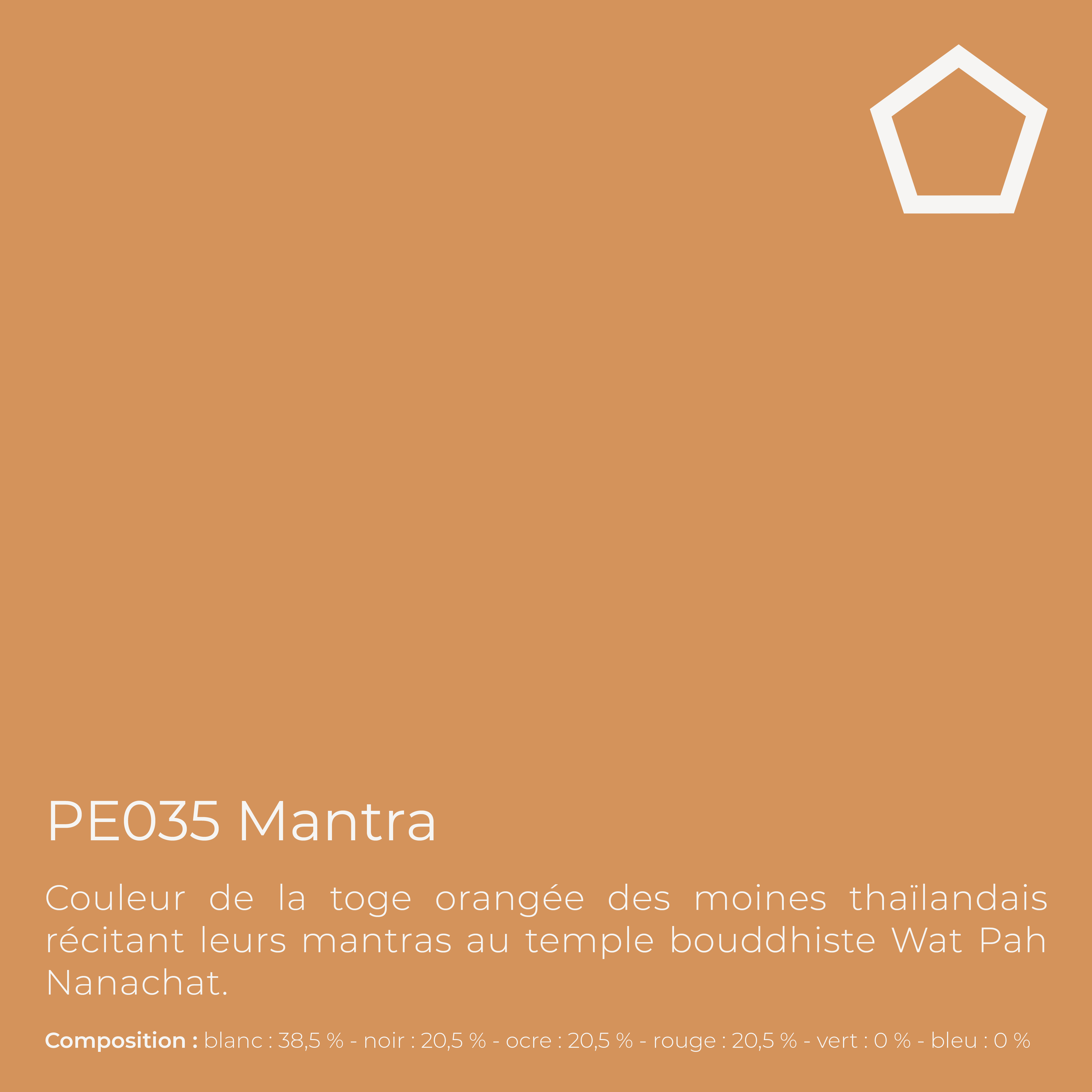 Peinture de finition lavable pour murs & plafonds intérieurs - Decor Matt, 4 l, Mantra (PE035) - PEINTAGONE - 3