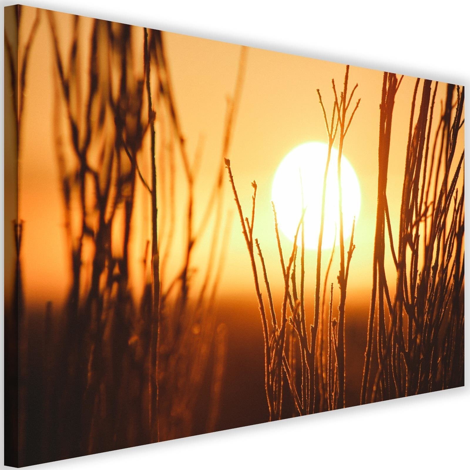 Tableau coucher de soleil 3 - 90 x 60 cm | Leroy Merlin