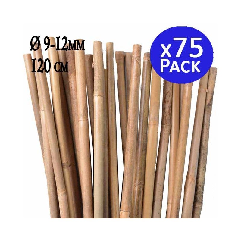 Set Di 200 Tutori In Bambù Da 150 Cm – Canne Naturali Per Orto, Pomodori, Piante Rampicanti E Giardinaggio