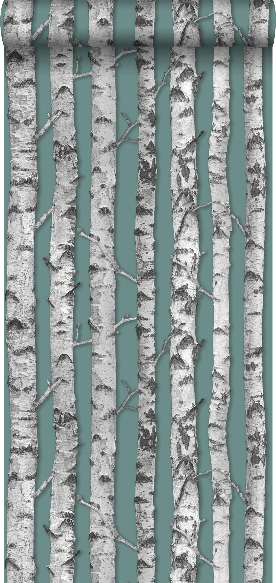 Tapeta pnie brzozy szaro zielonymIjasna ciepła szarość - 53 cm x 10.05 m - ESTAHOME