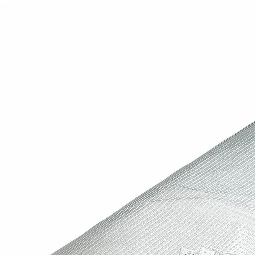 Bâche transparente 80 g/m2 WERKA PRO 3 x 4 m - 2