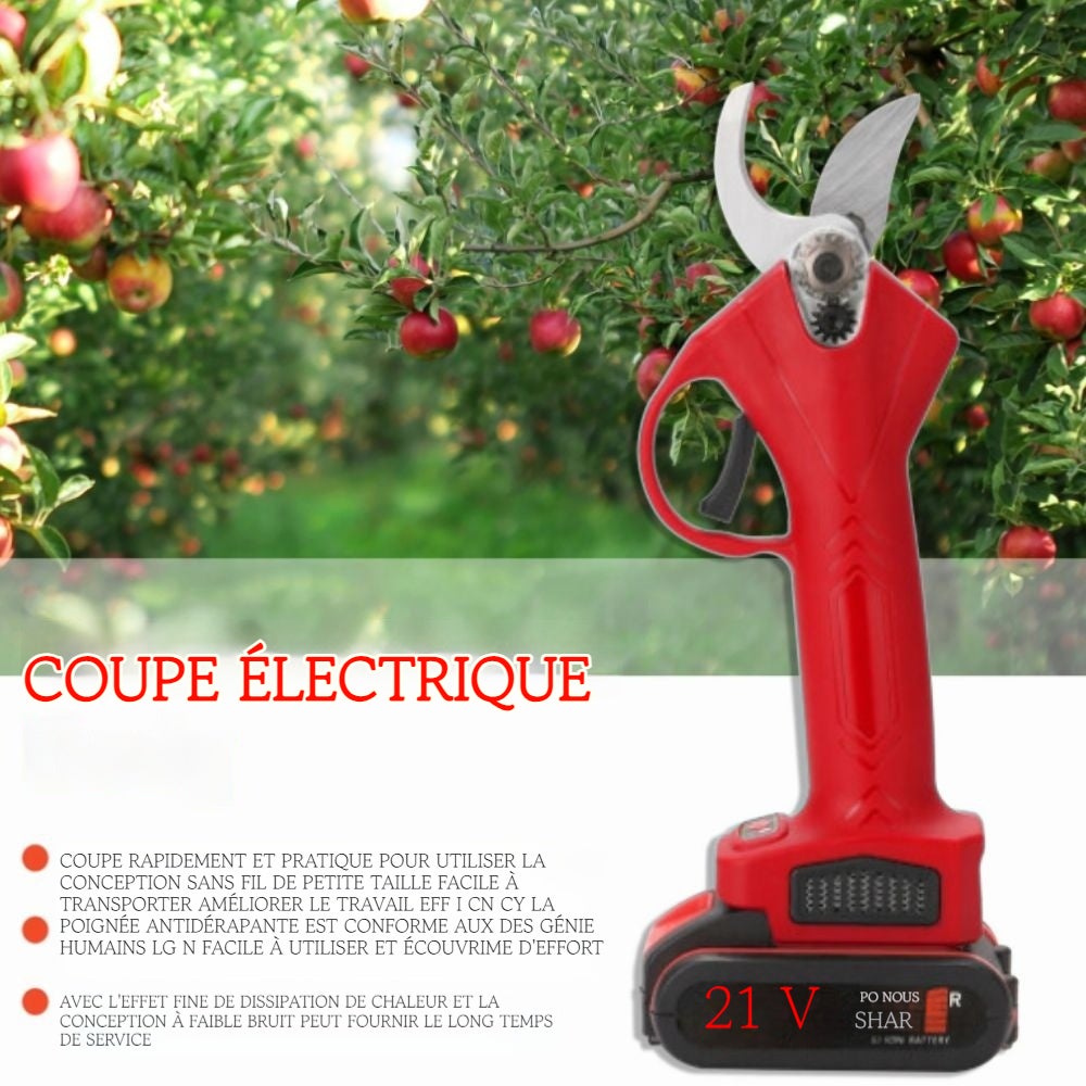 Sécateur electrique sans fil 21V Rechargeable 2 batteries Coupeuse d'élagage Professionnel Jardin pour arbres fruitiers - 4