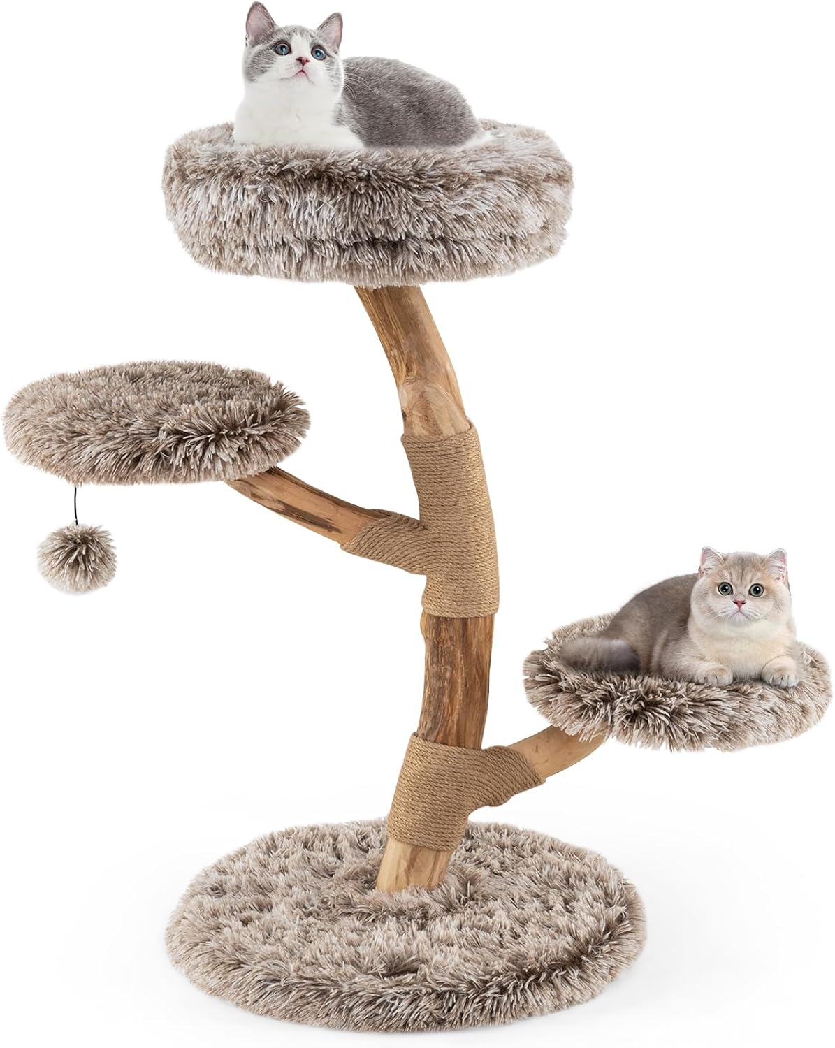 Arbre à Chat Design Naturel en Bois Massif, Tronc en Poirier Solide — free download