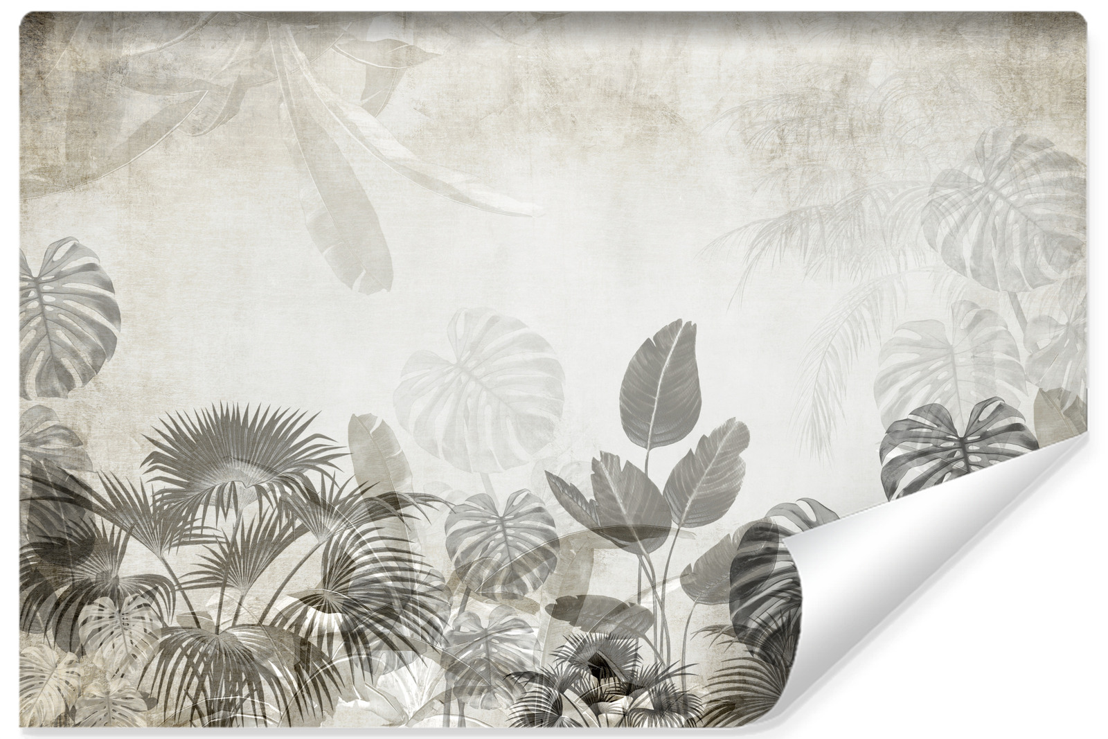 Vlieseline papel pintado foto para dormitorio hojas plantas de hormigón 460cm x 300cm