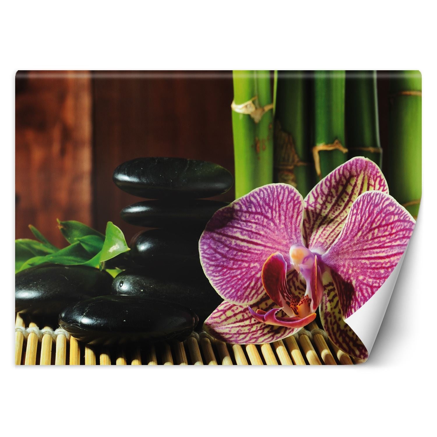 Fototapeta, Orchidea kamienie zen bambus 300x210