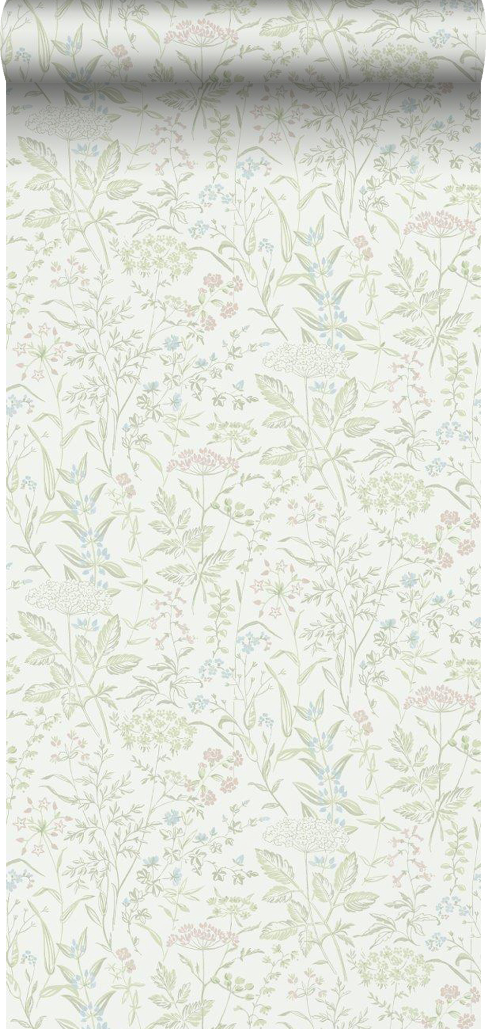 Tapeta kwiaty polne zielonym - 53 cm x 11.2 m - BORASTAPETER
