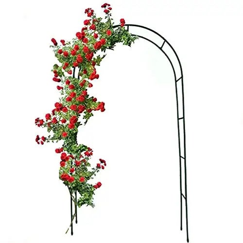 COSTWAY Arco in Legno da Giardino, Pergola di Legno per Piante