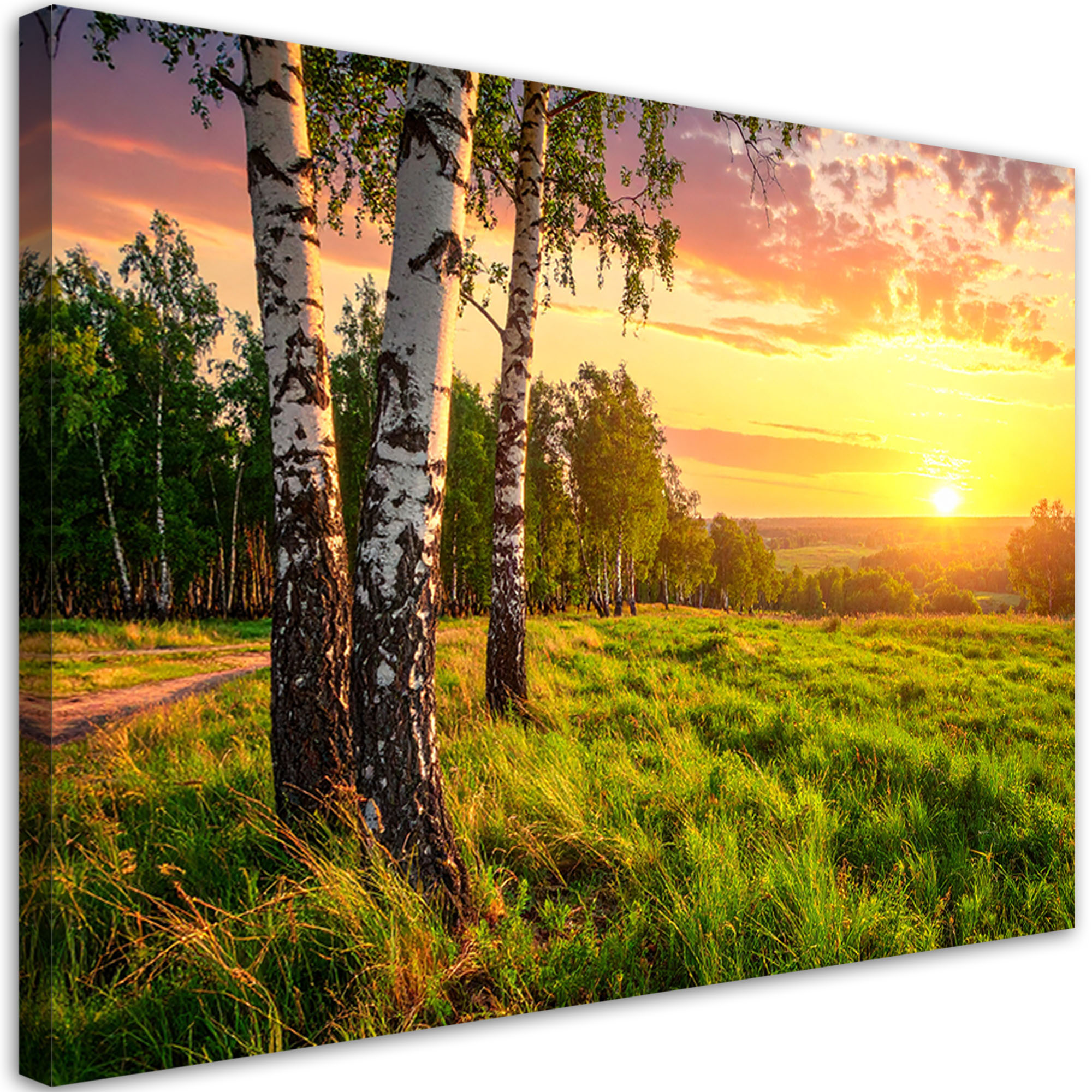 Page 4 | Images de Coucher Soleil Cascade – Téléchargement gratuit sur Freepik