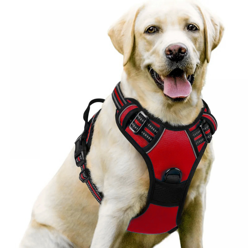 Coleira peitoral grande para cães - Tamanho grande, preta - Ajustável, acolchoada e anti-puxão, ideal para correr e passear. - 4