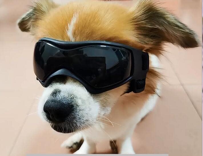 Lunettes de soleil avec protection UV et sangle réglable pour animal domestique - Coupe-vent et neige - Protection des yeux des chiots (noir) - 4