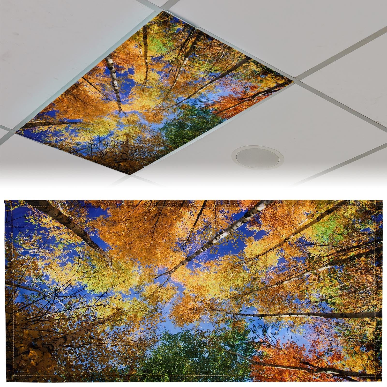Cache-lumière fluorescent pour plafonniers - Cache magnétique pour ...