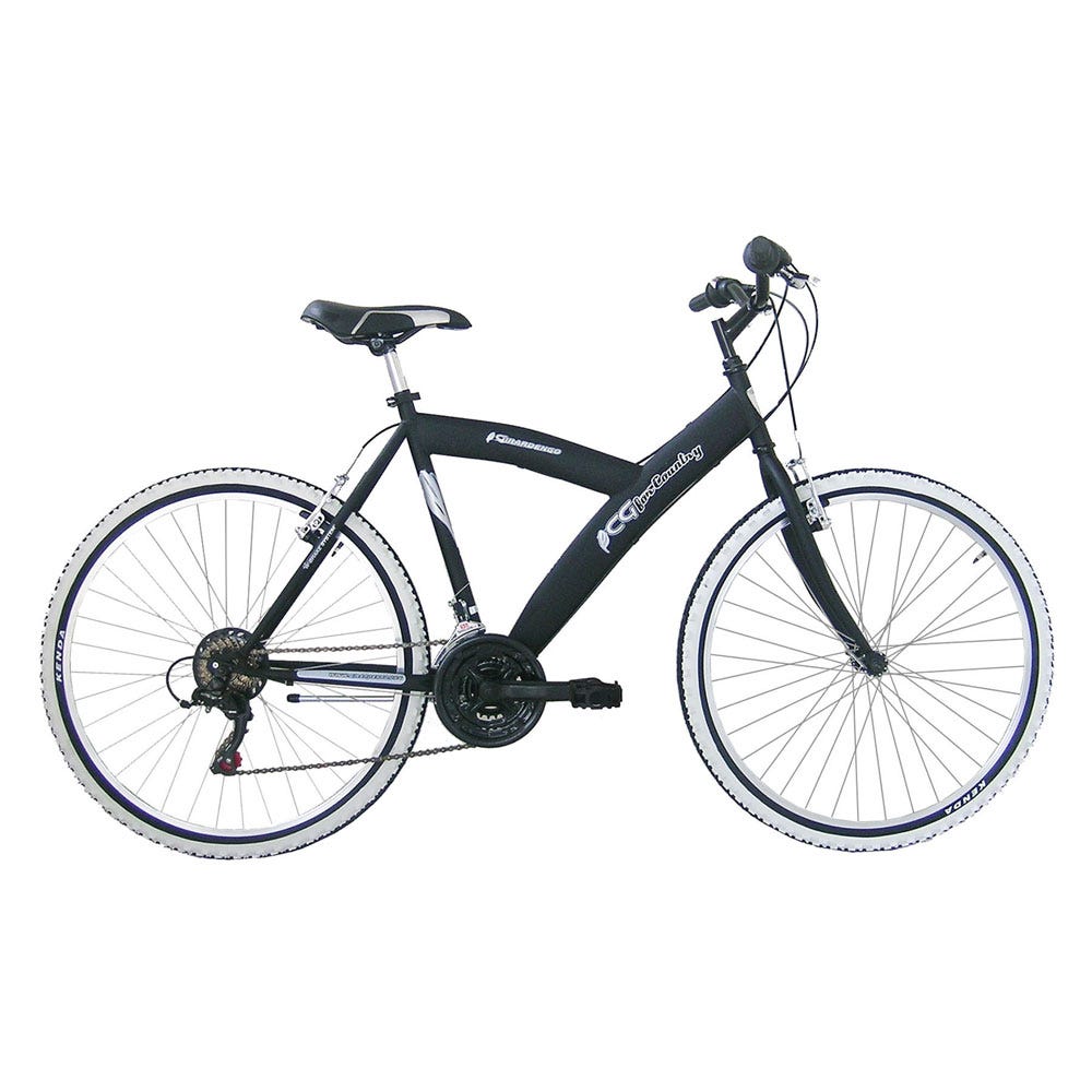 Bicycle Bici Donna Girardengo Bike Holland Woman THL26000 26