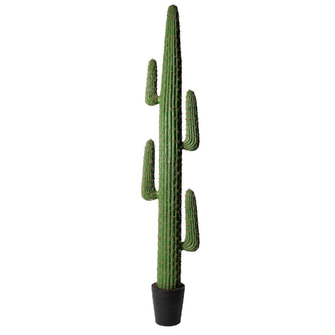 Kactus Republic  Planta Artificial Cactus Gigante Saguaro 209Cm. Gran Realismo 4 Brazos Con Maceta Para Decoración Interior Salón Hogar Y Oficina , Leroy Merlin