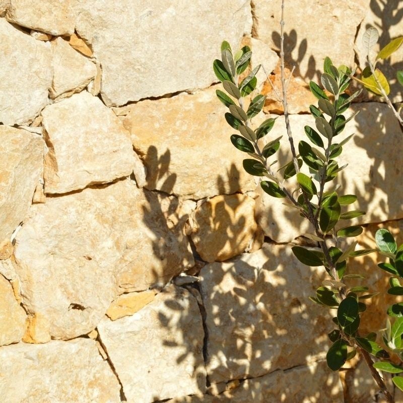 Angle Parement Pierre Naturelle Travertin doré - Boîte de 1 m linéaire - 2