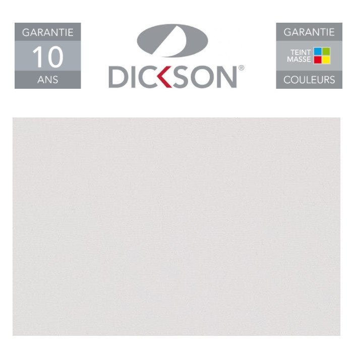 Store de Terrasse Coffre Intégral Solares Motorisé RAL Anthracite 2,7 X 2 Toile Dickson® ECRU - 5