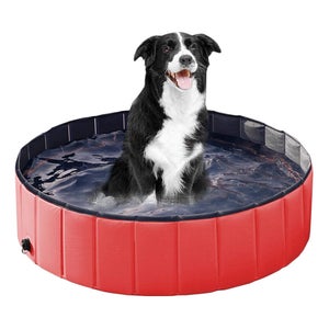 Piscina Pieghevole Per Cani E Bambini – Vasca Da 120 Cm In Plastica Dura, Antiscivolo, Per Cortile E Giardino, Colore Blu
