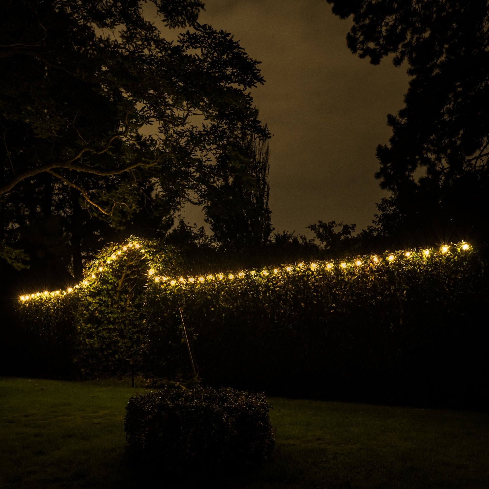 Guirlanda solar Iplux® Venice 10 m - Alta qualidade - Duração de combustão 15 horas - 4