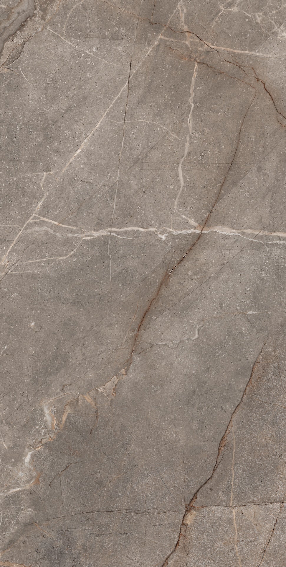 Carrelage sol / mur effet marbre beige MADRAN MINK l.60 x L.120 cm Mat LIMCARO - 6